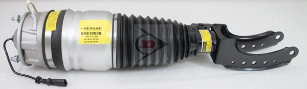 Air Suspension Strut (DAS10088)