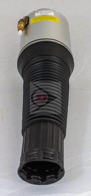 Air Suspension Strut (DAS10016)
