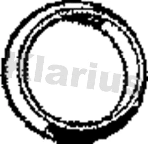 Gasket, exhaust pipe (410334)