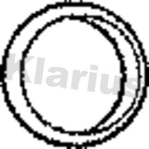 Gasket, exhaust pipe (410381)