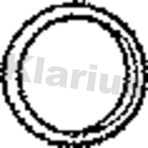 Gasket, exhaust pipe (410199)