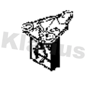 Mount, exhaust system (420944)