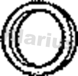 Seal Ring, exhaust pipe (410243)