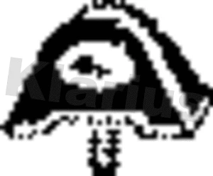 Mount, exhaust system (420001)