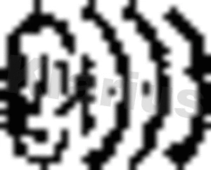 Spring, exhaust pipe (430131)