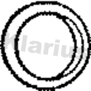 Seal Ring, exhaust pipe (410272)