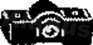 Bracket, muffler (420324)