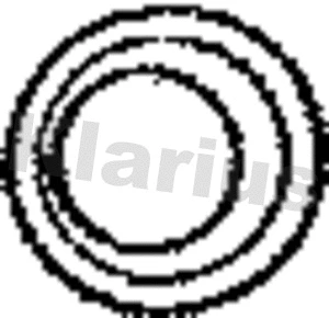 Gasket, exhaust pipe (410292)