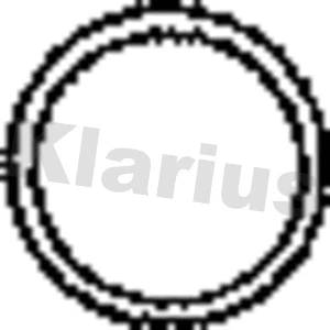 Gasket, exhaust pipe (410164)
