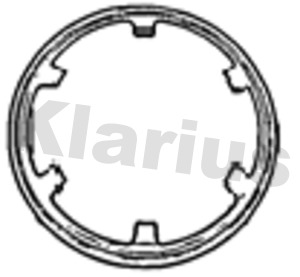 Gasket, exhaust pipe (431098)