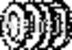 Spring, exhaust pipe (430230)