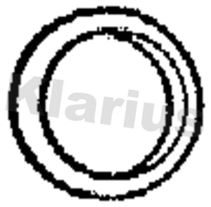 Gasket, exhaust pipe (410496)