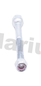 Bolt, exhaust system