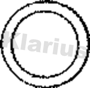 Seal Ring, exhaust pipe (410419)