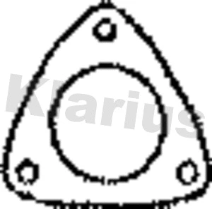 Gasket, exhaust pipe (410888)