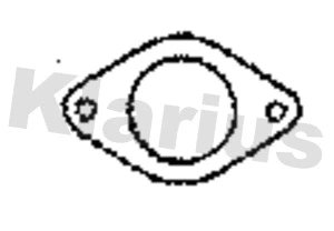Gasket, exhaust pipe (411157)