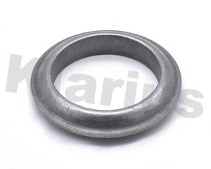 Seal Ring, exhaust pipe