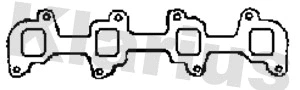 Gasket, exhaust pipe (410530)