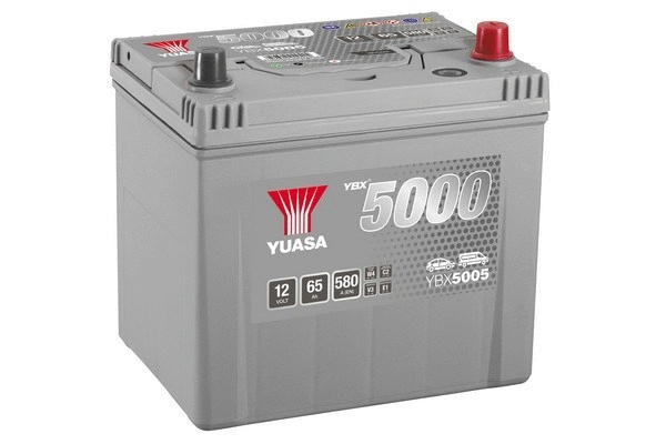 Starter Battery (YBX5005)