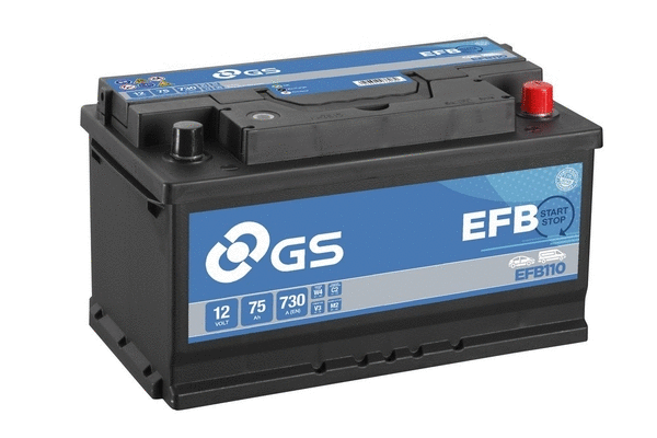 Starter Battery (EFB110)