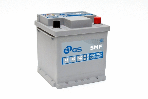 Starter Battery (SMF202)