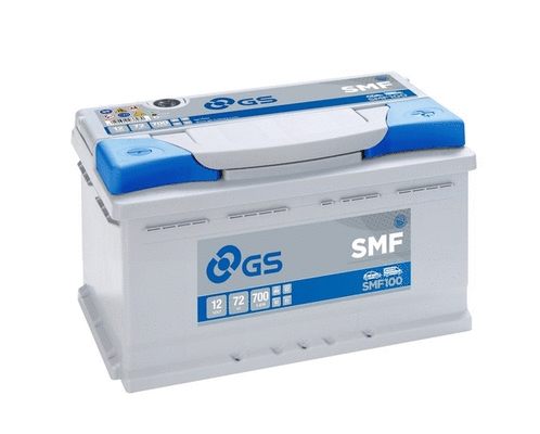 Starter Battery (SMF100)