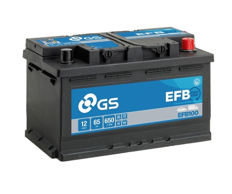 Starter Battery (EFB100)