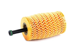 Oil Filter (BSG 70-140-002)