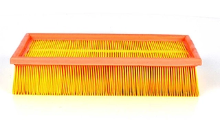Air Filter (BSG 30-135-007)