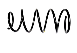 Suspension Spring (BSG 30-305-022)