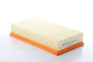 Air Filter (BSG 60-135-062)