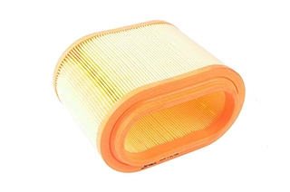 Air Filter (BSG 40-135-001)