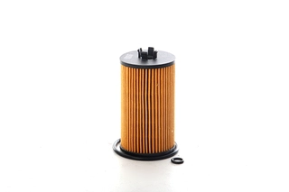 Oil Filter (BSG 65-140-018)