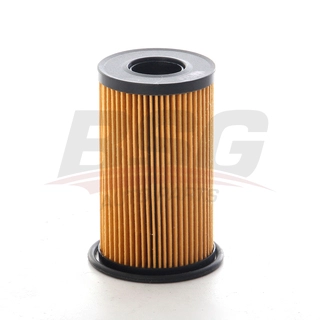 Oil Filter (BSG 15-140-010)