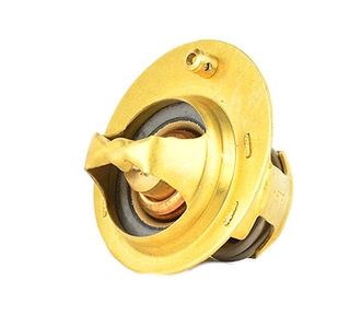 Thermostat, coolant (BSG 30-125-020)