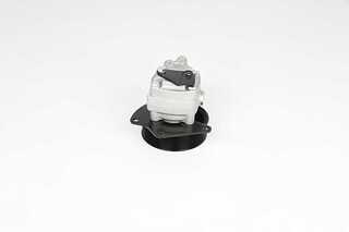 Hydraulic Pump, steering (BSG 15-355-031)