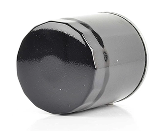 Fuel Filter (BSG 60-130-004)