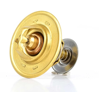 Thermostat, coolant (BSG 30-125-007)