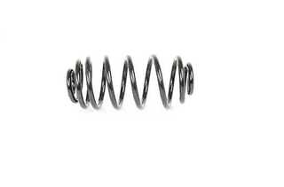 Suspension Spring (BSG 65-305-023)