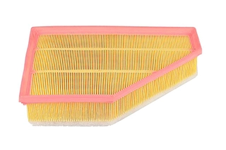 Air Filter (BSG 15-135-012)