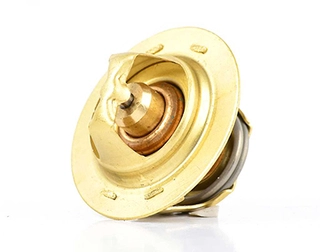 Thermostat, coolant (BSG 30-125-010)