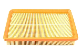 Air Filter (BSG 40-135-012)