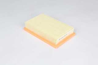 Air Filter (BSG 25-135-009)