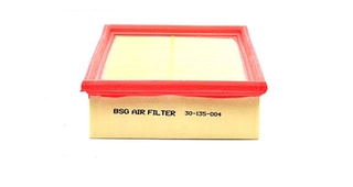 Air Filter (BSG 30-135-004)