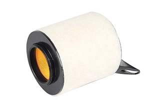 Air Filter (BSG 15-135-009)