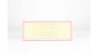 Air Filter (BSG 90-135-032)