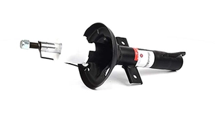 Shock Absorber (BSG 30-300-018)