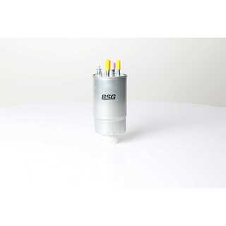 Fuel Filter (BSG 25-130-001)