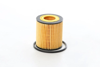 Oil Filter (BSG 30-140-015)