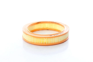 Air Filter (BSG 30-135-038)